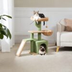 petit-arbre-a-chat-cactus-86-cm-63645864100180